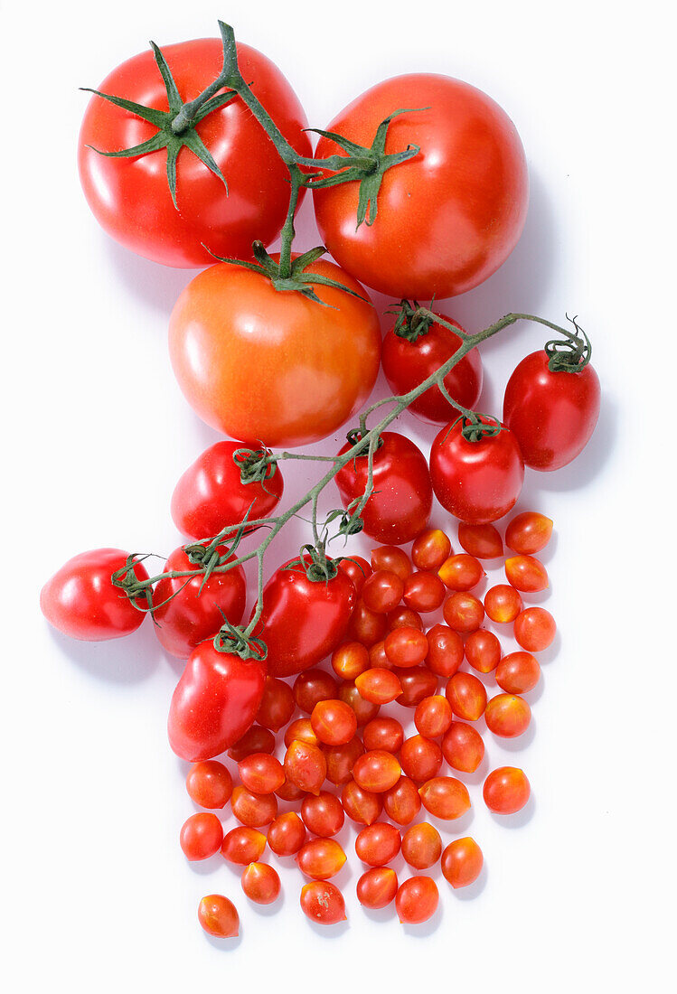 Assorted tomatoes on a white background