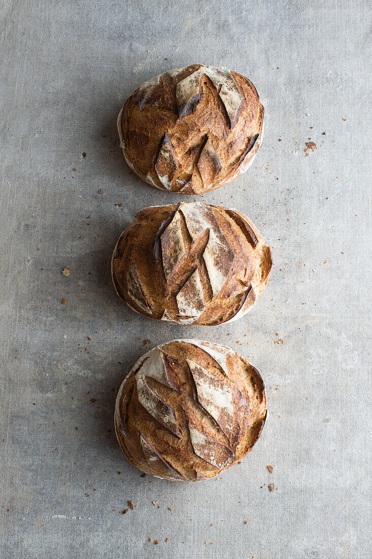 Pain Boule au levain (sourdough bread)