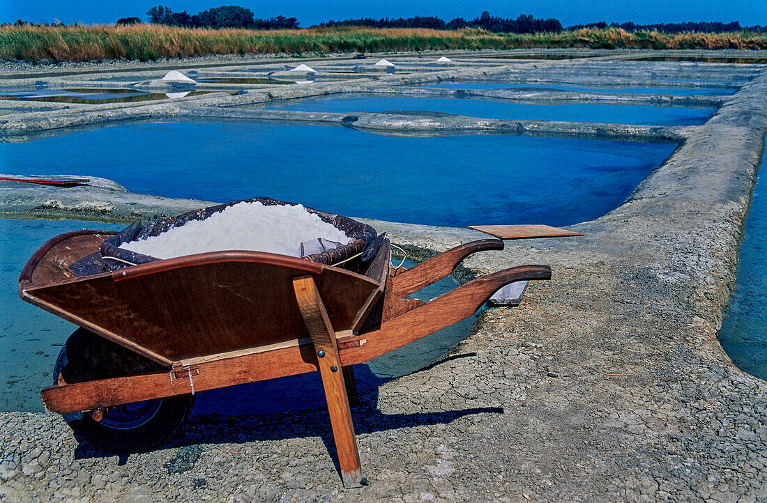 Salzgewinnung (Île de Noirmoutier, Frankreich)