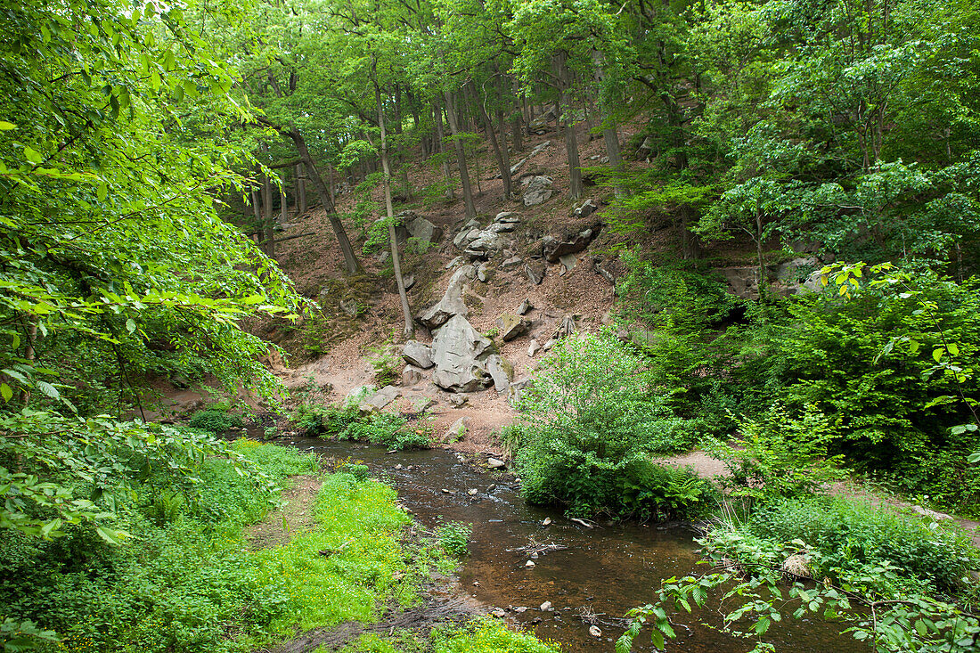 Landscape of the Vaux-De-Cernay, France