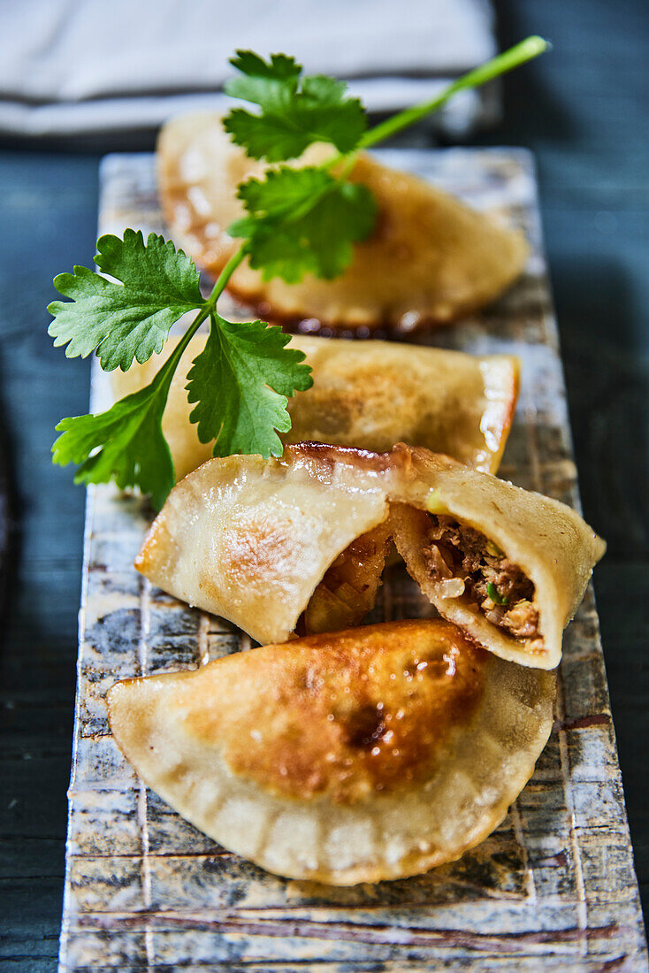 Gyoza (filled dumplings, Japan)