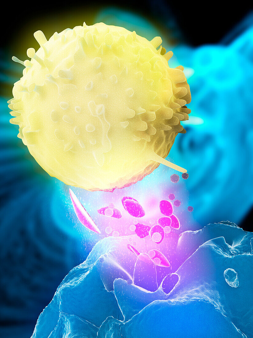 Natural killer cell attacking target, illustration