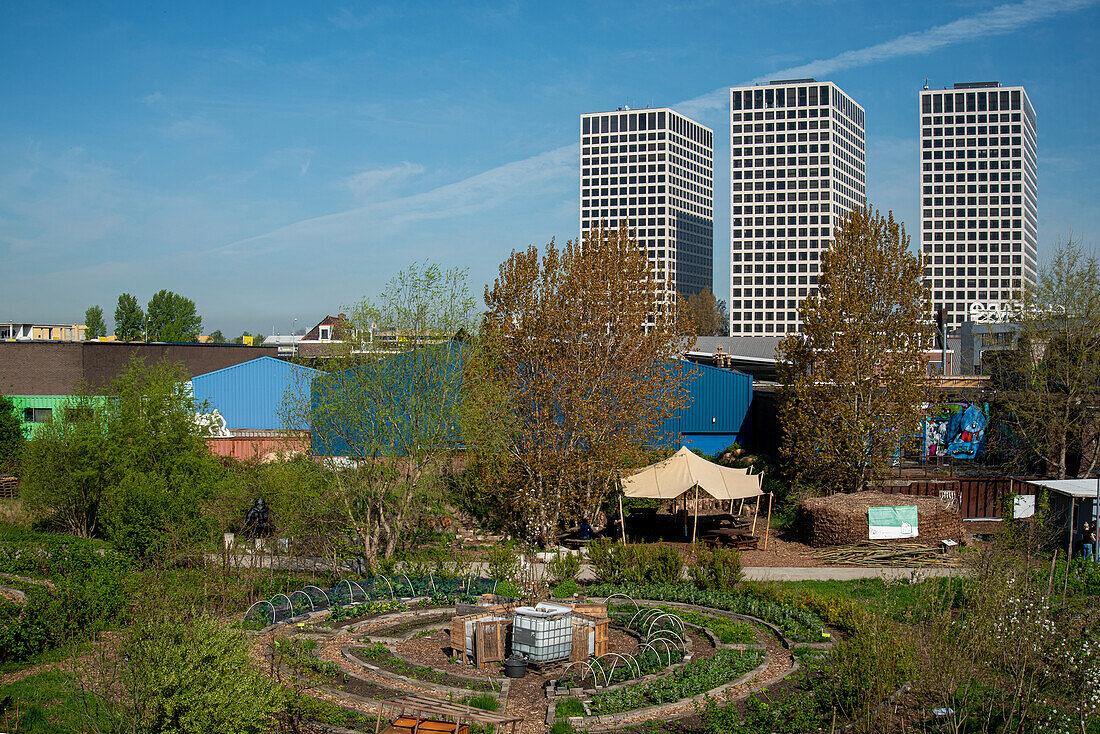 Green project in Rotterdam, The Netherlands