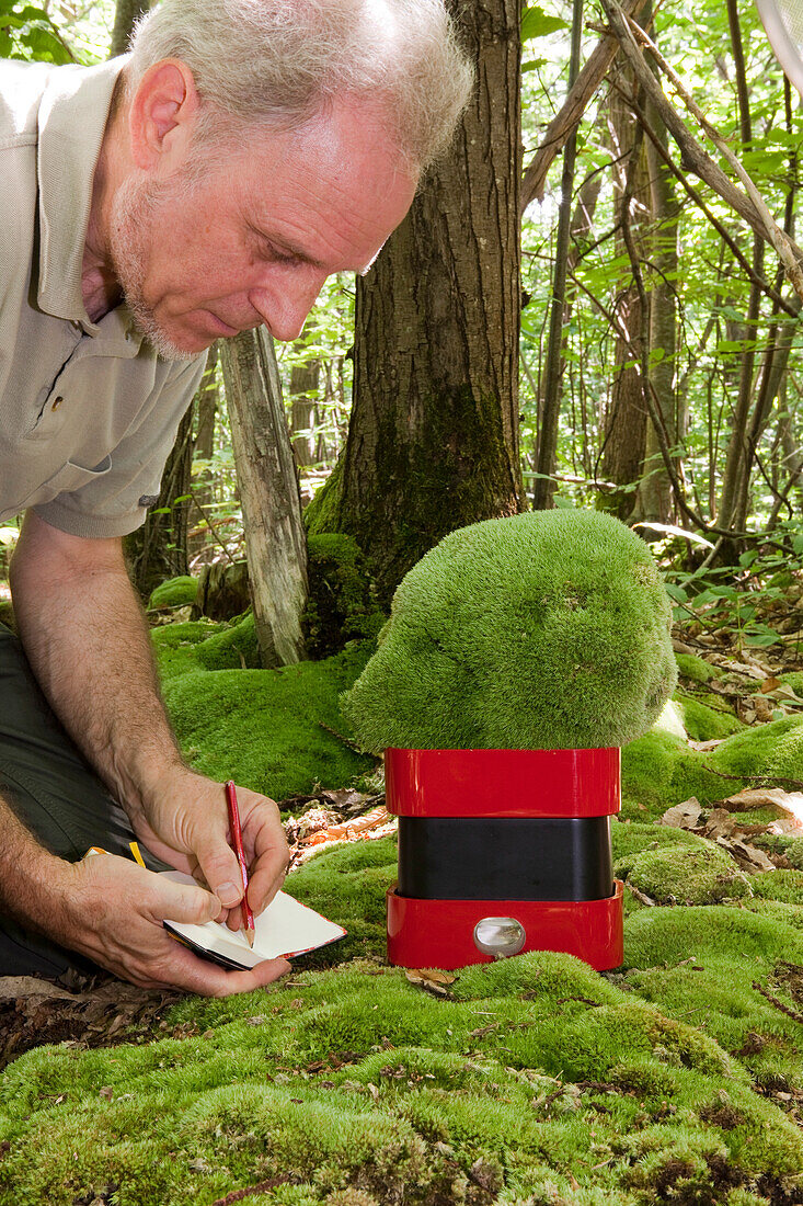 Weighing a Large White-moss