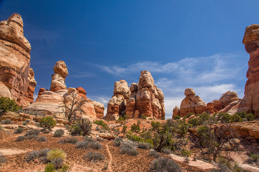 Cedar Mesa sandstone formations, Utah, USA