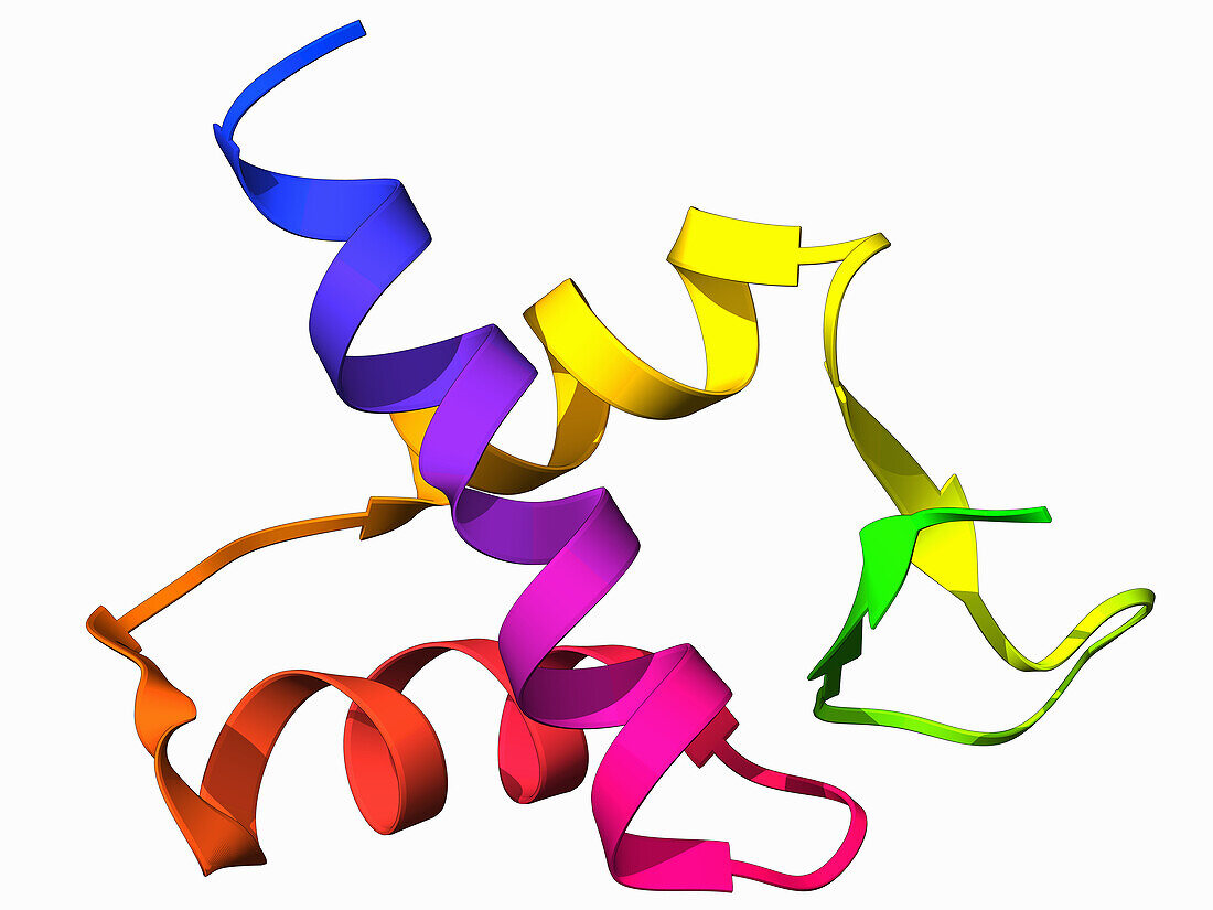 Protein from African swine fever virus, molecular model