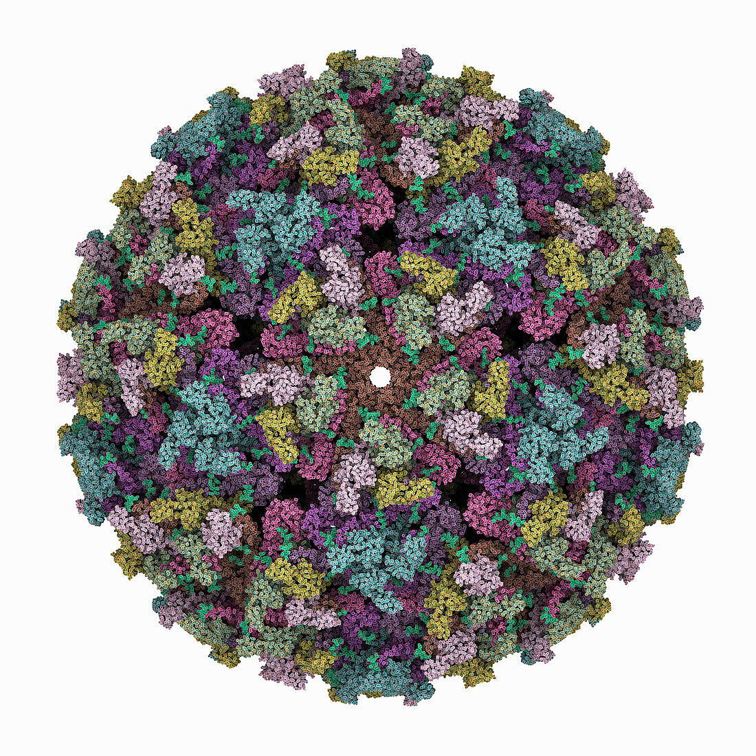 Getah virus capsid, molecular model