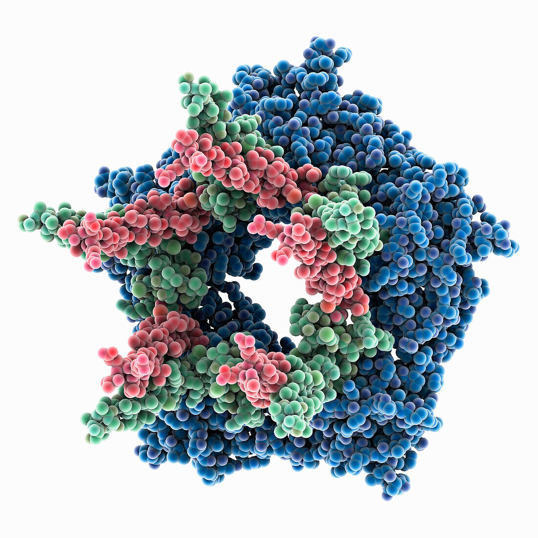 Getah virus spike glycoprotein E1, molecular model
