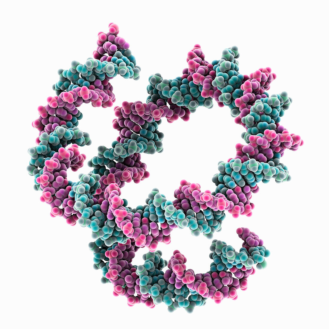 Nucleosome without histones, molecular model