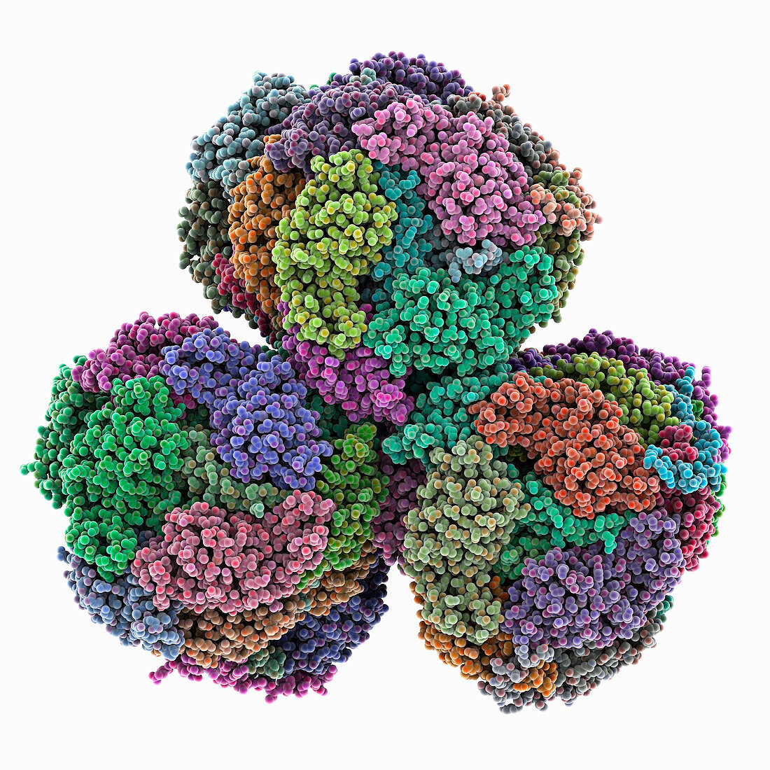 Phycobilisome from Synechocystis PCC 6803, molecular model