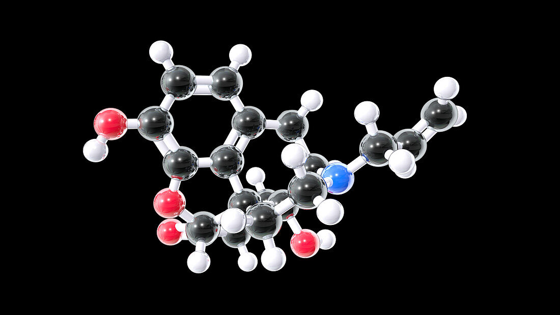 Naloxone opioid overdose treatment, molecular model
