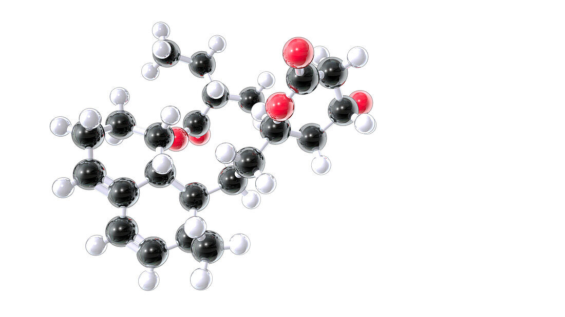 Mevastatin drug, molecular model