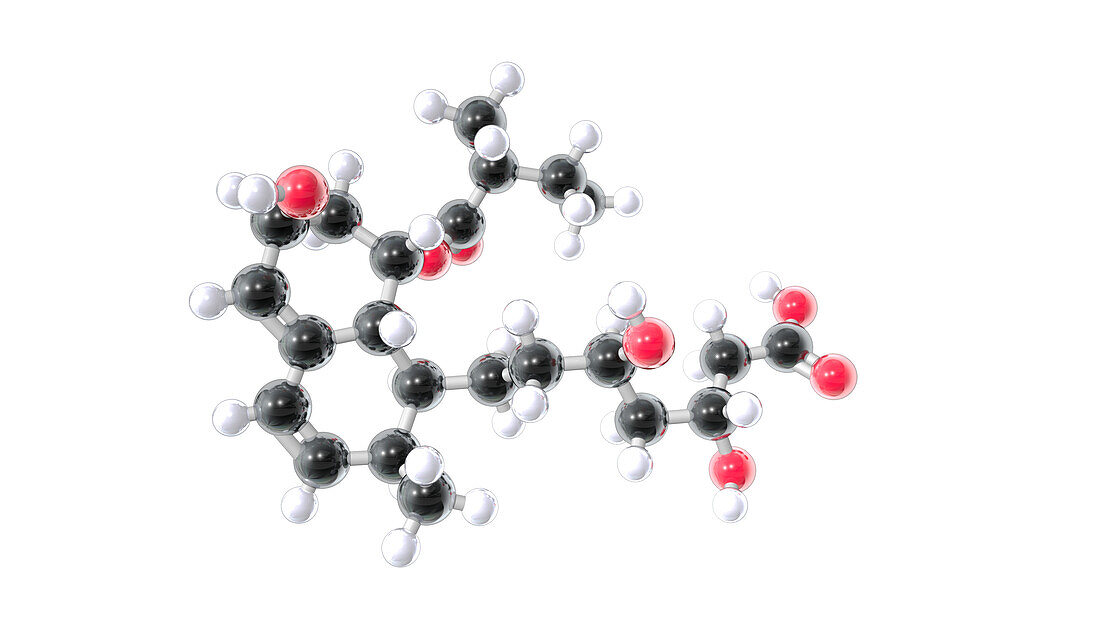 Pravastatin drug, molecular model