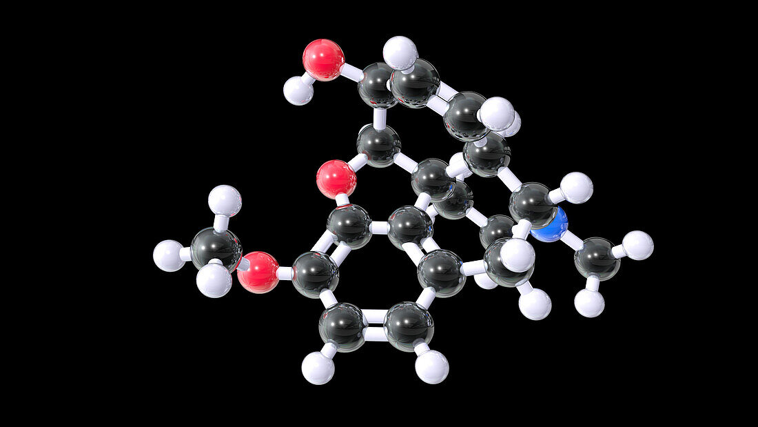 Codeine, molecular model