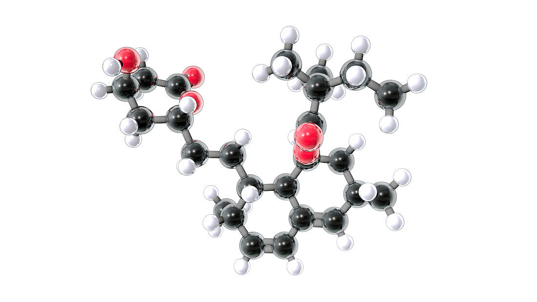 Simvastatin drug, molecular model