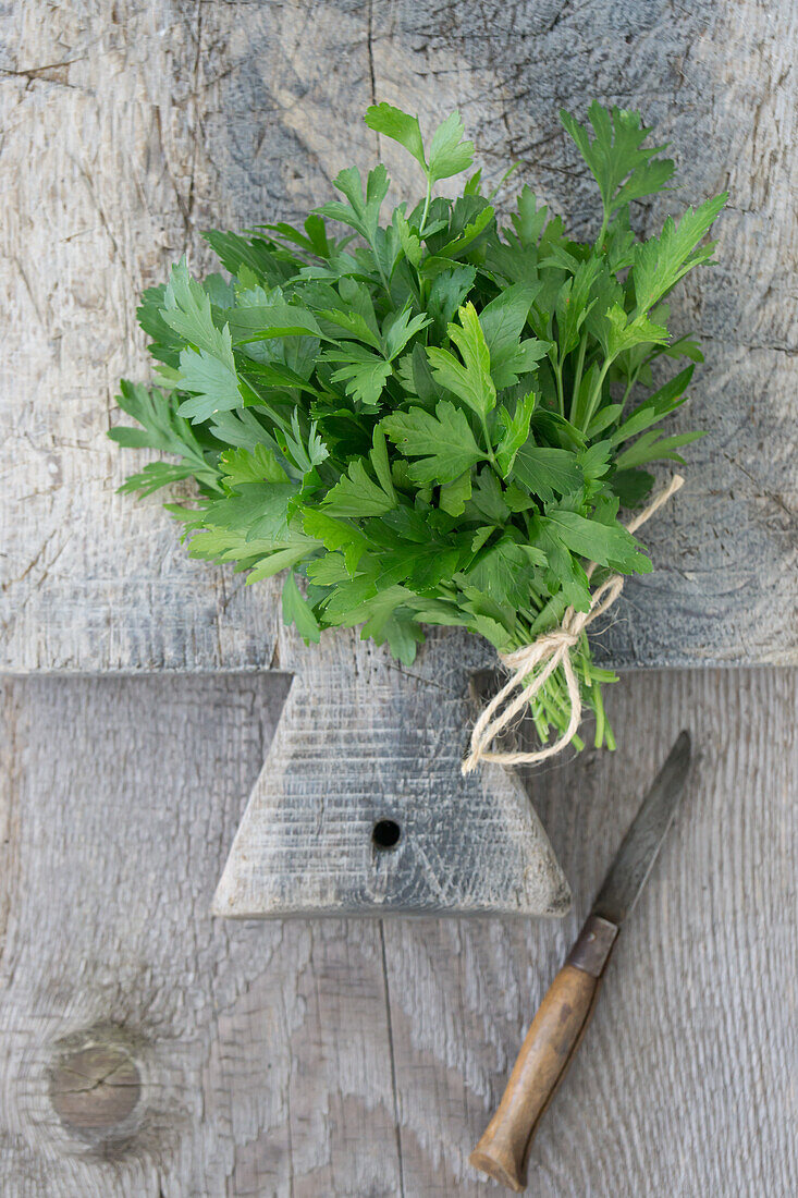 A bunch of flat-leaf parsley, on wooden board with rustic knife