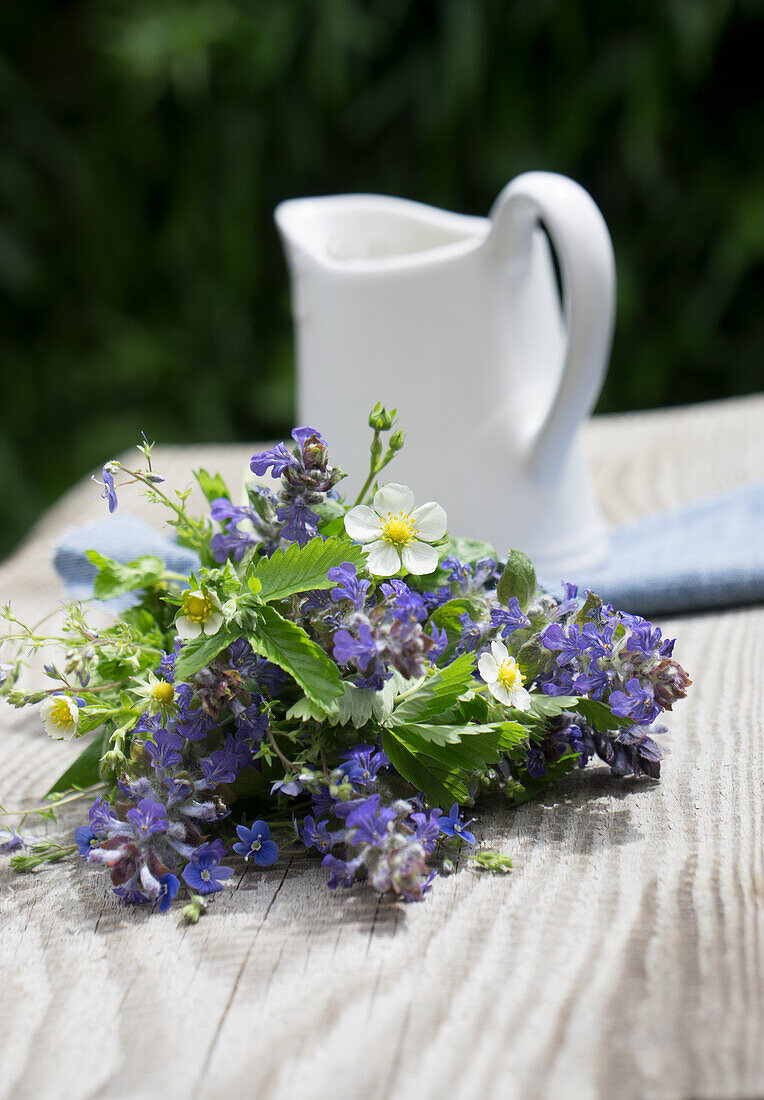 Bouquet of speedwell (Veronica), günsel (Ajuga) and strawberry leaves with milk jug