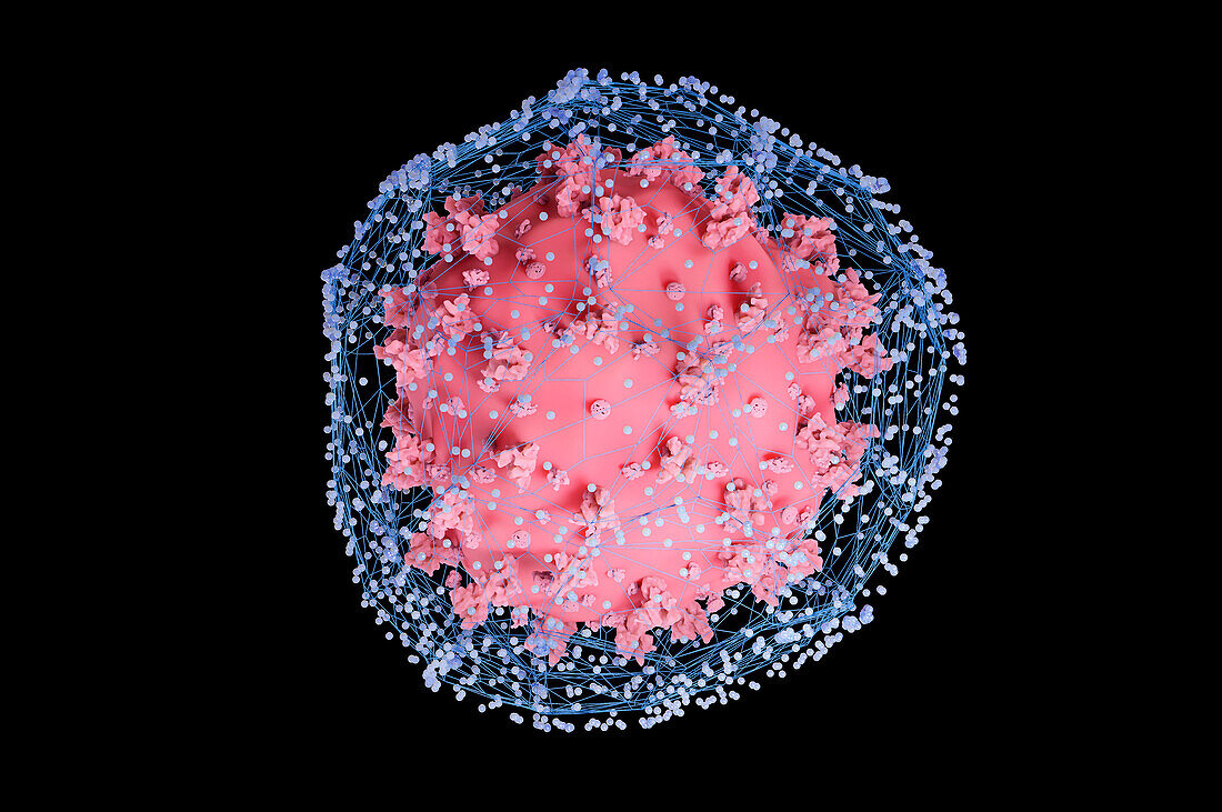 Coronavirus caught in net, conceptual illustration
