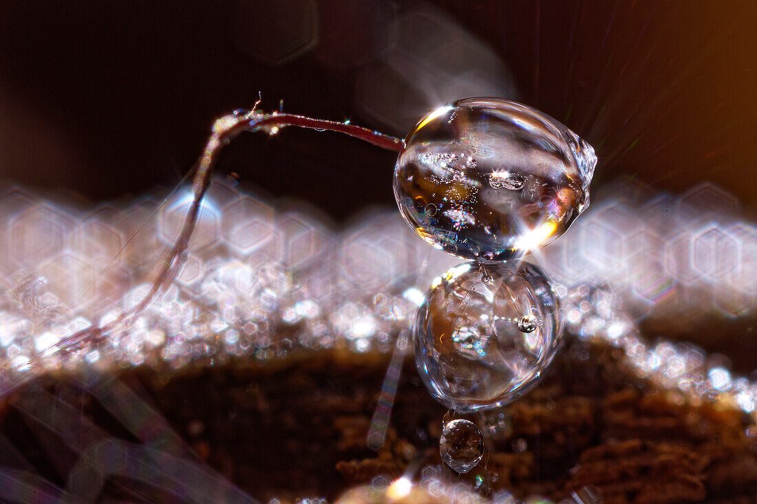Frozen drop of water