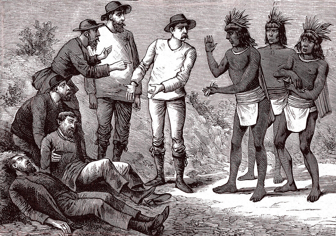 Discovery of cinchona, illustration