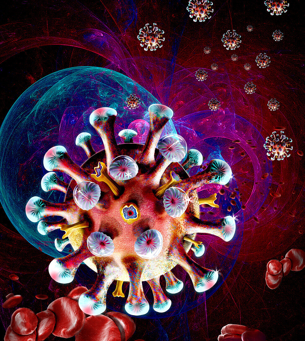 T cell, illustration