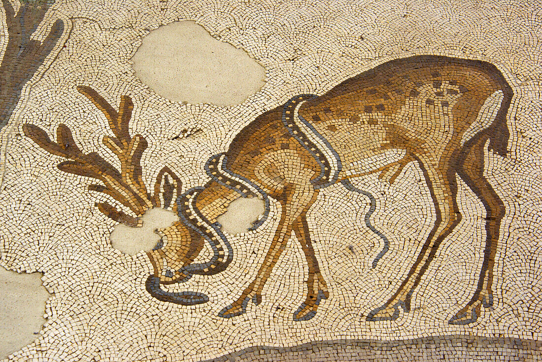Mozaic of a Deer entwined by a snake.