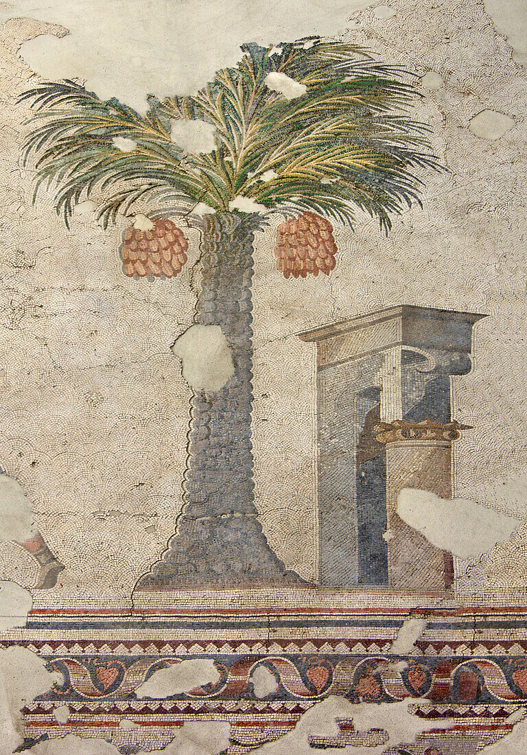 Date palm and Architectural Features