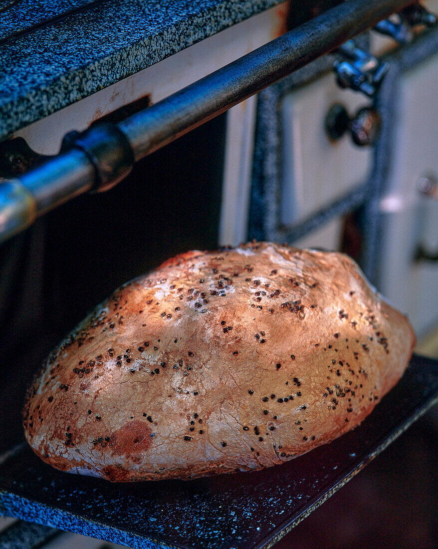 Hühnchen im Brotteig gebacken