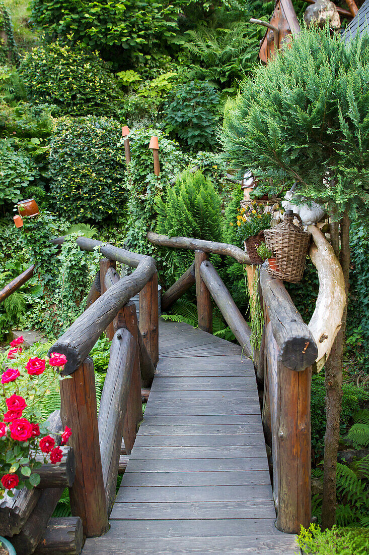 Bridge and wooden path in garden