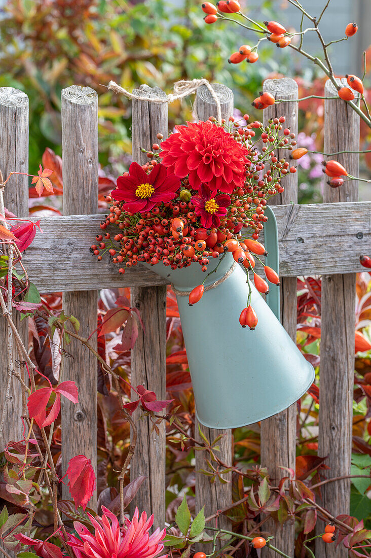 Autumn bouquet of rose hips and red dahlias in a pot hung on a fence