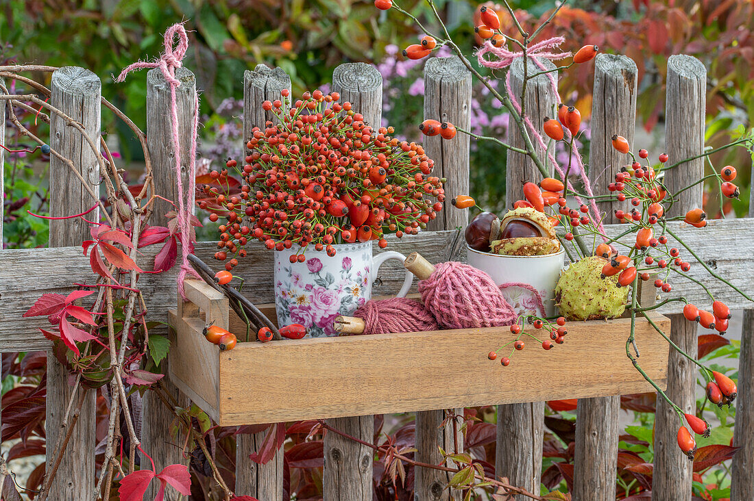 Autumn arrangement of rose hip bouquet and chestnuts