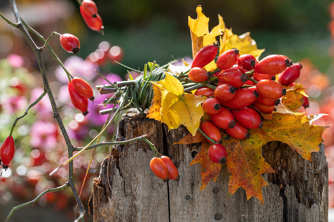Autumn bouquet of rosehip twigs and foliage leaves