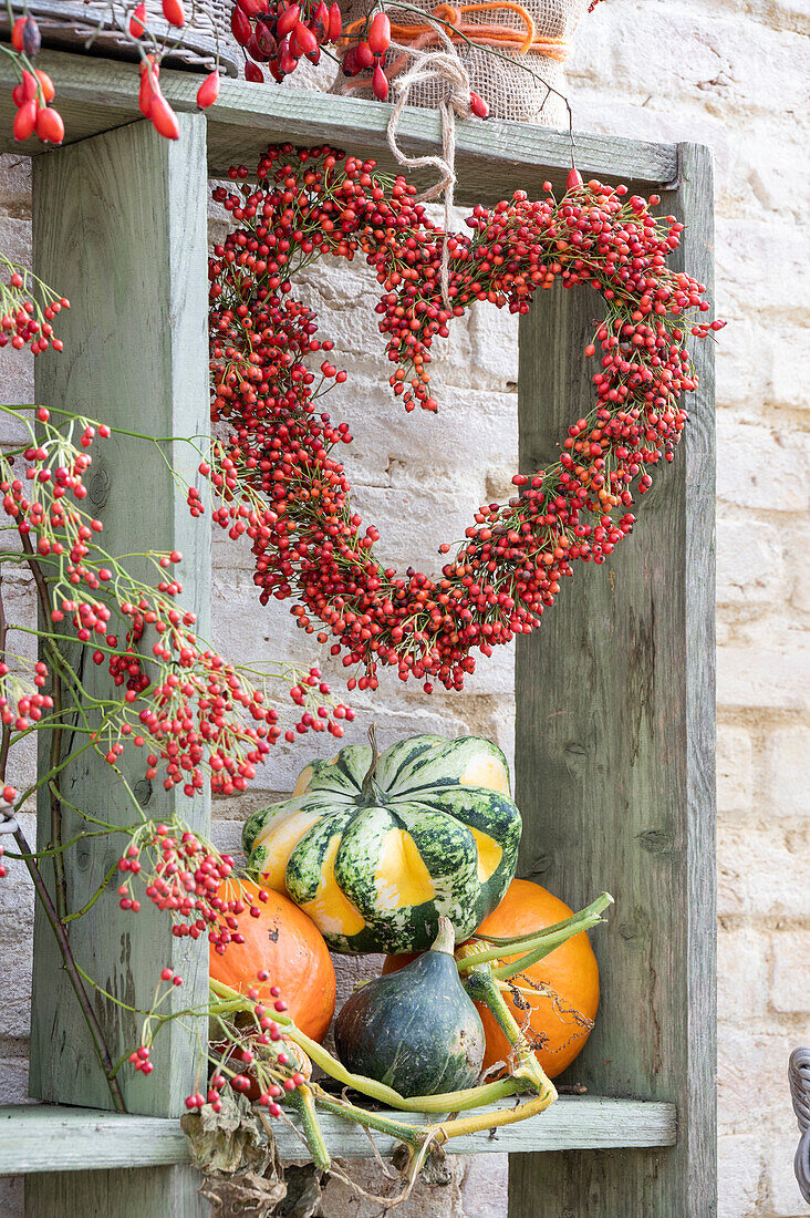 Rosehip heart and various pumpkins in wooden shelf