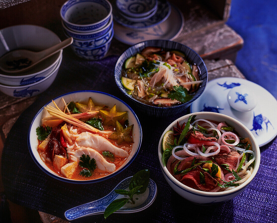 Drei vietnamesische Suppen