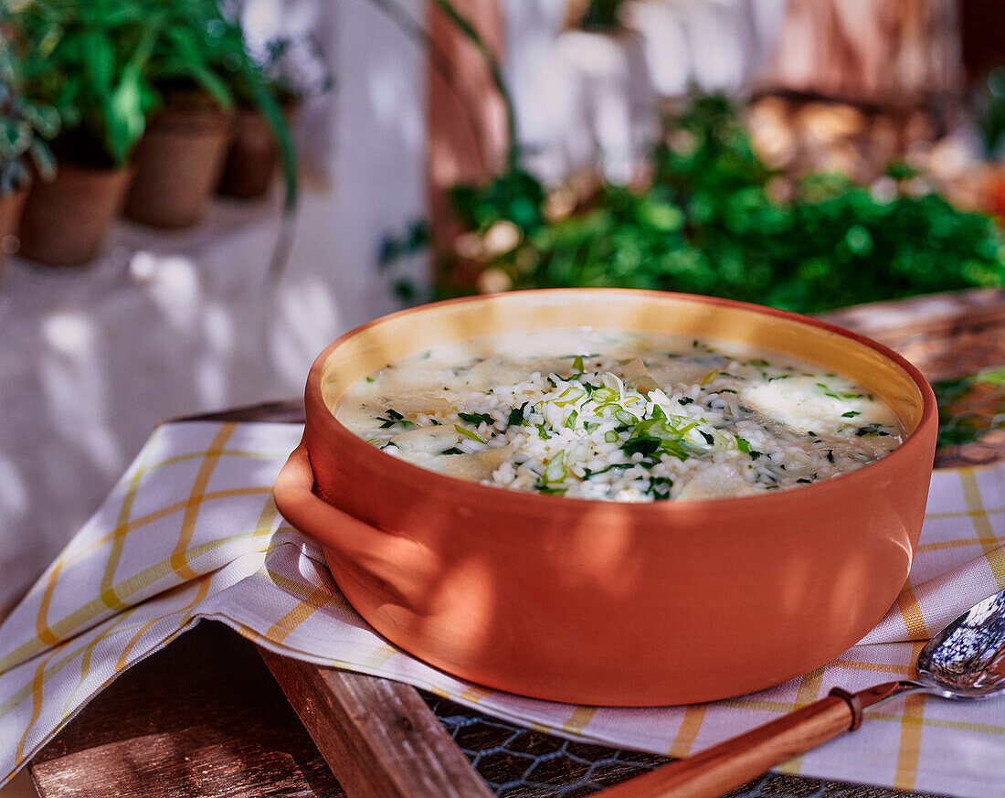 Risotto mit Kräutern