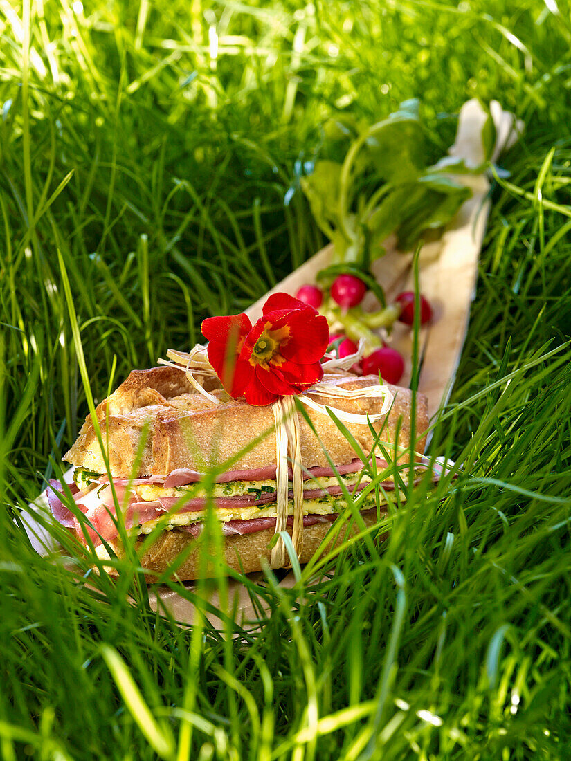 Schinken-Omelett-Sandwich zum Picknick
