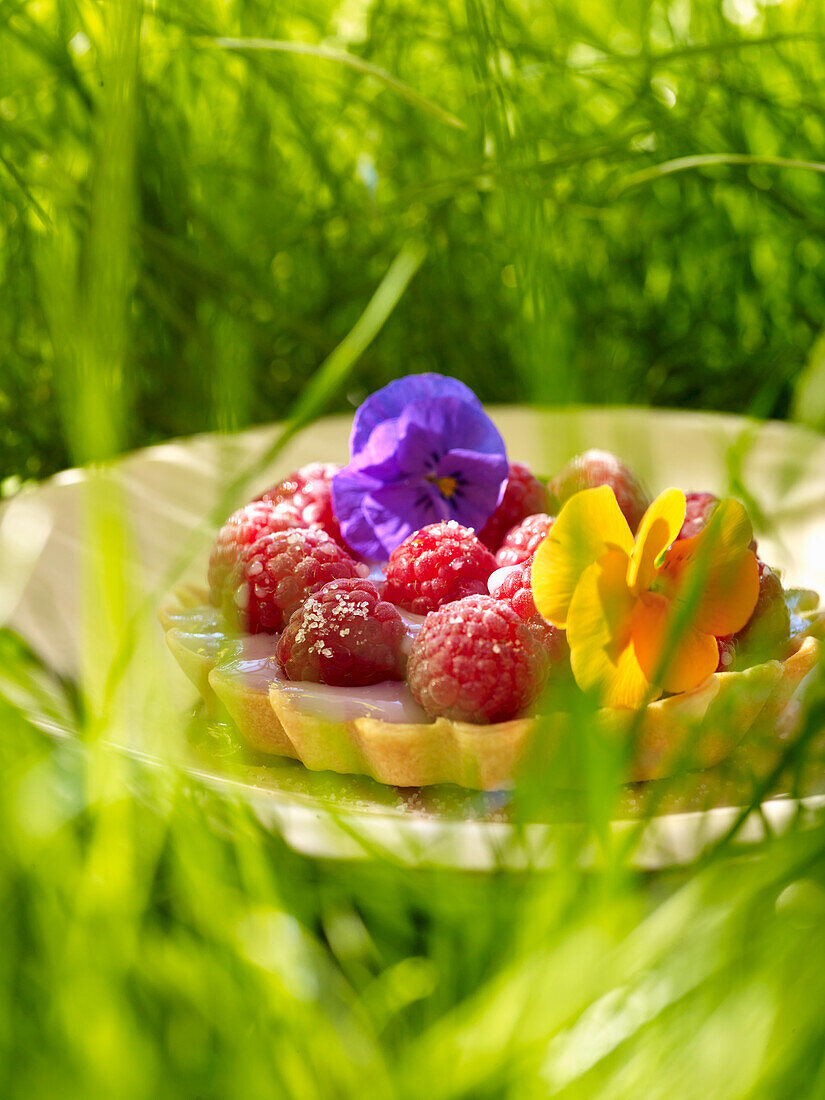 Himbeer-Törtchen mit Veilchenblüten zum Picknick