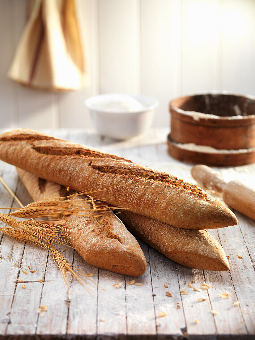 Rustic loaves of bread (Spain)
