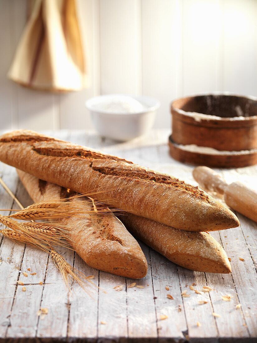 Rustikale Brotstangen (Spanien)