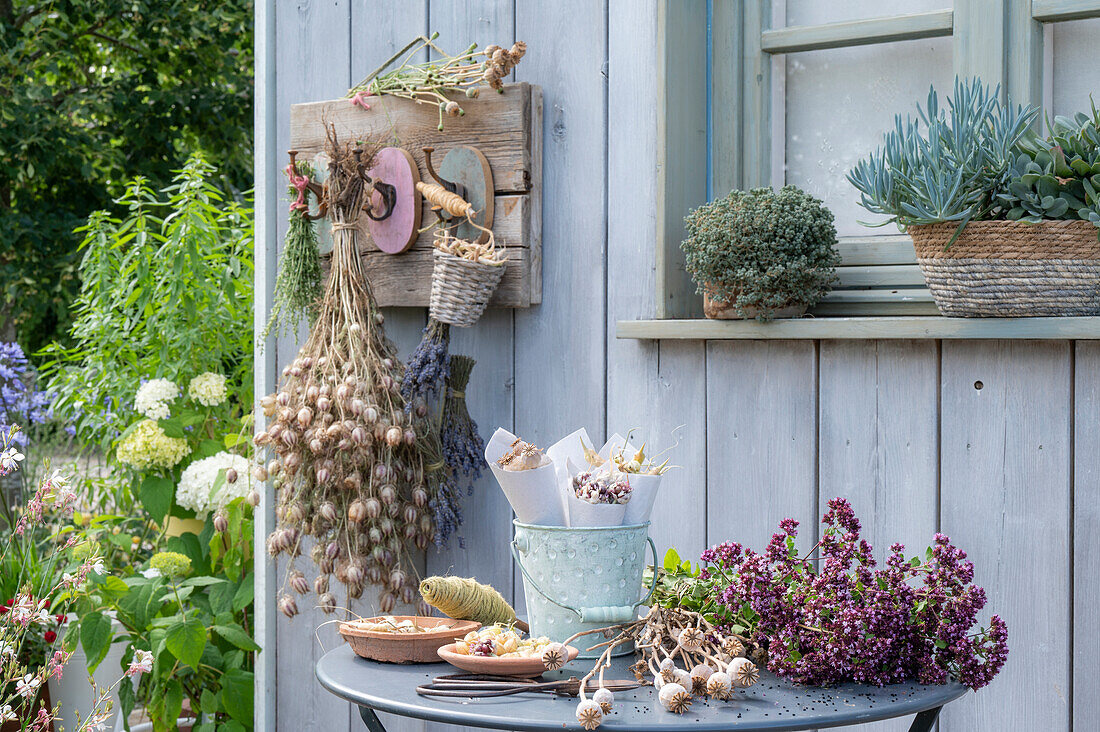 Seed stands for seed collection on garden table and hung as bouquets on hook rail