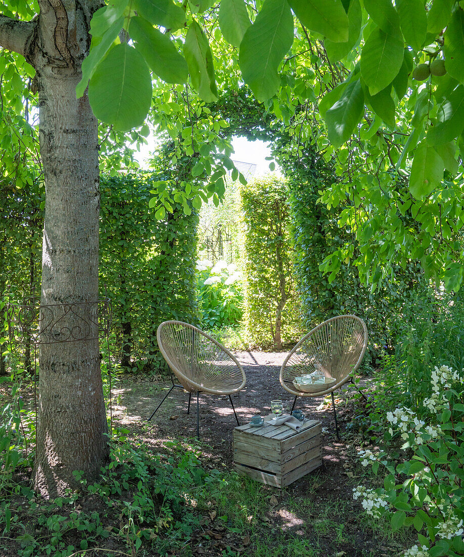 Idyllic outdoor seating area under trees in the garden