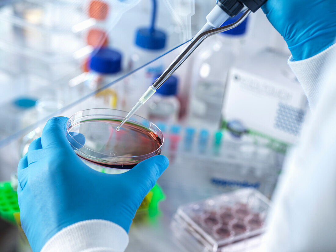 UK, Buckinghamshire, High Wycombe, Scientist holding petri dish and pipette