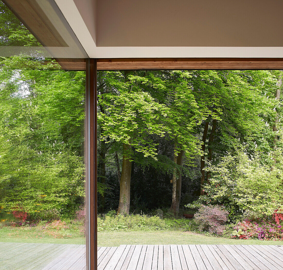 Schiebetür, Reflexion und Blick in den Garten