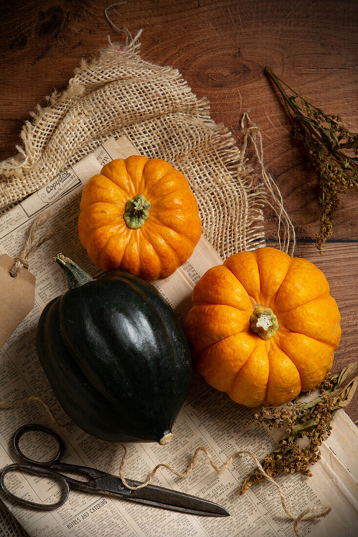 Still life with pumpkins