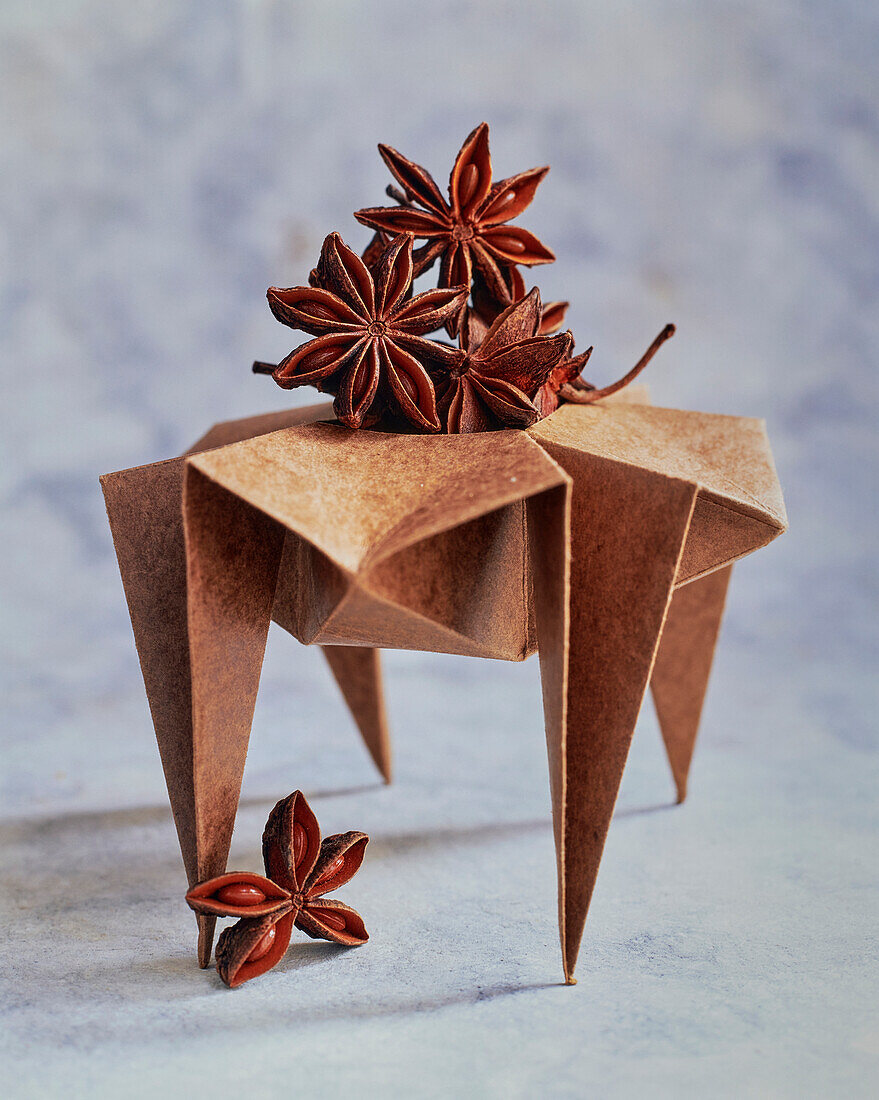 Star anise on origami paper