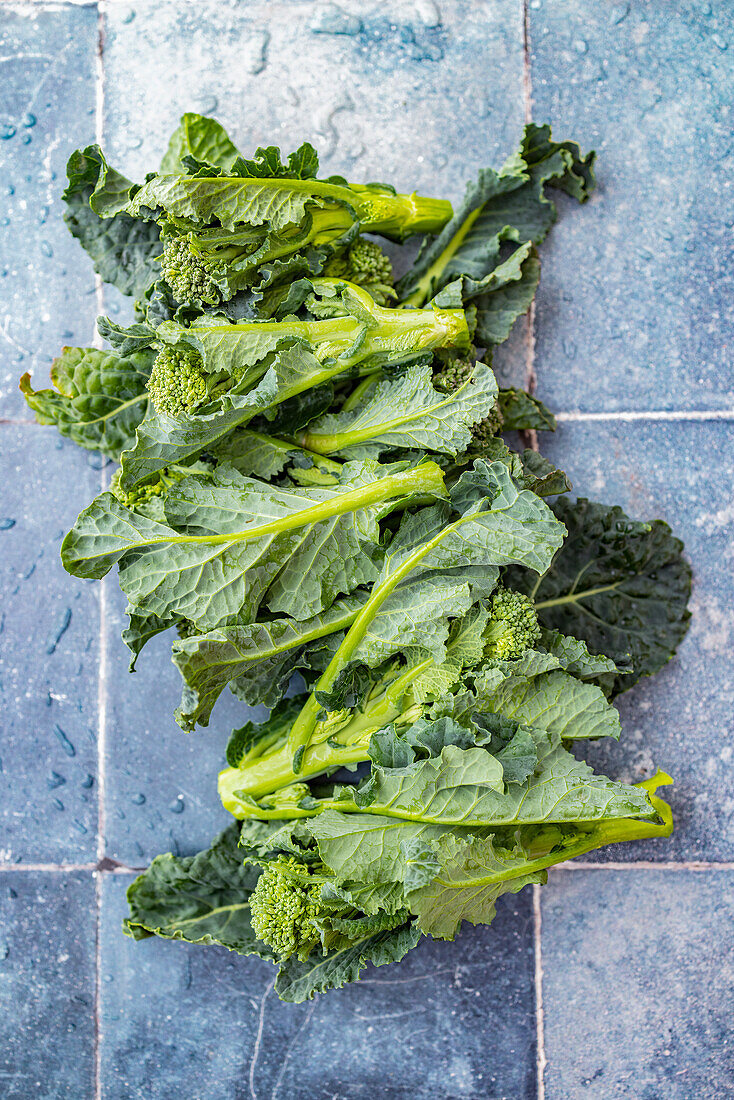 Aletta - Frische Bio-Gemüse-Hybride aus Brokkoli und Grünkohl
