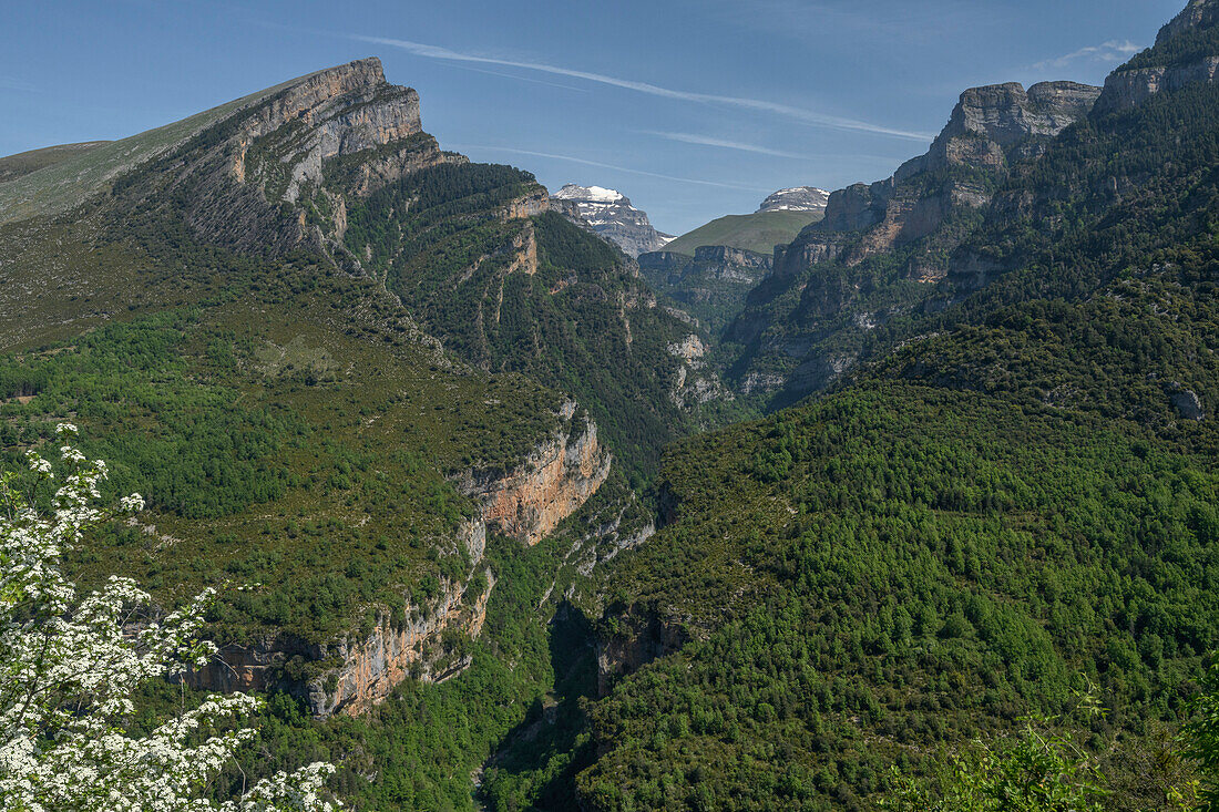 Anisclo Gorge, Ordesa National Park, Spanish Pyrenees