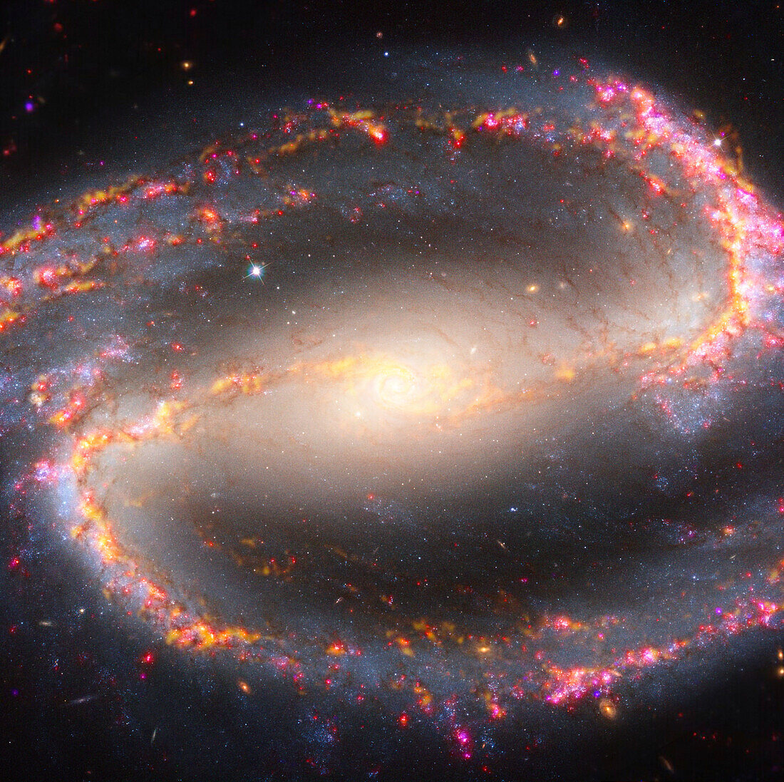 Galaxy NGC 1300, composite image