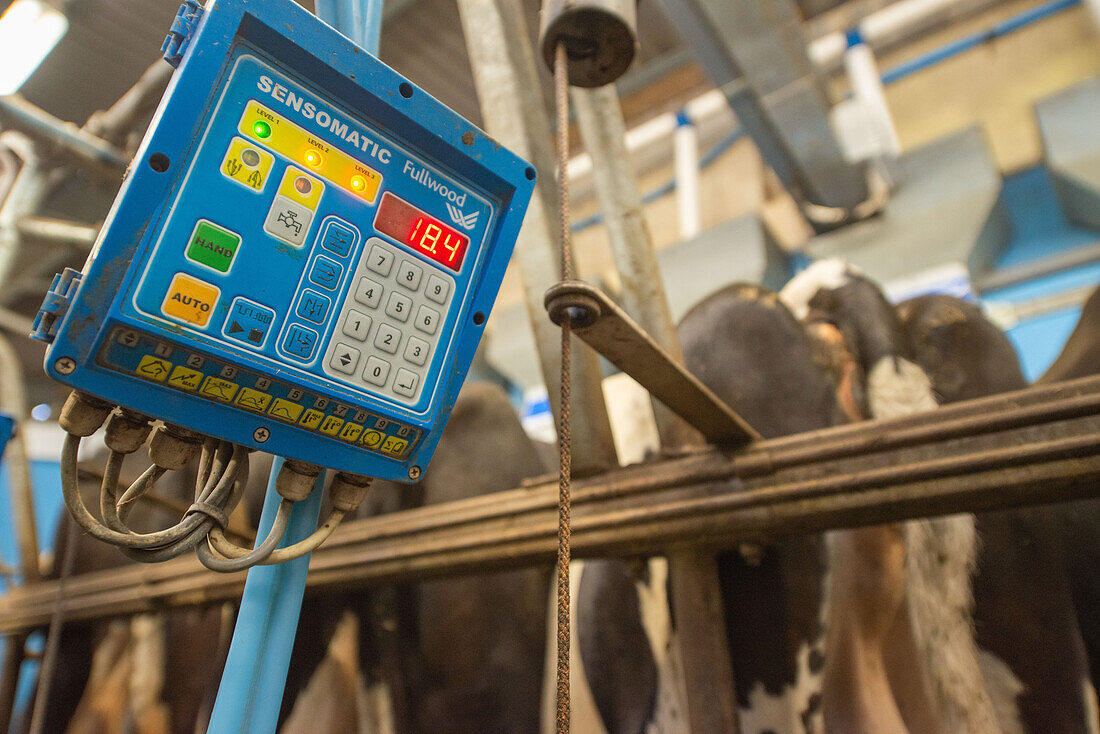 Dairy milk yield monitor
