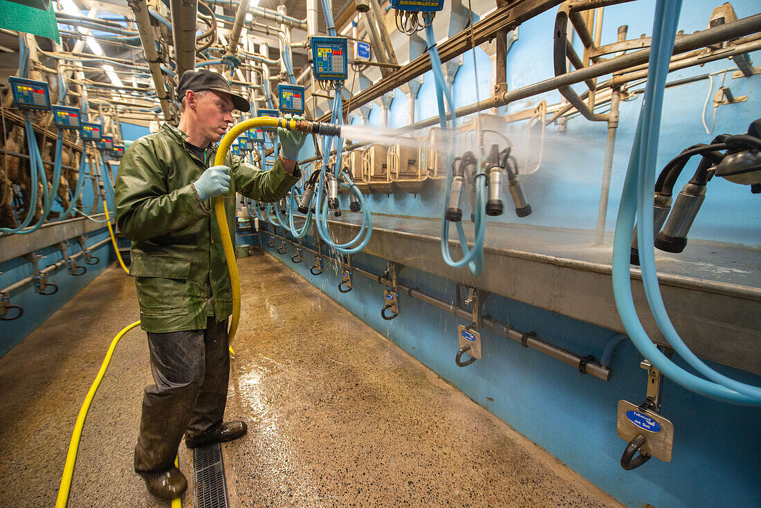 Farmer cleaning herringbone milking parlour